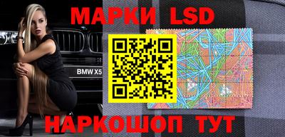 индика Новозыбков
