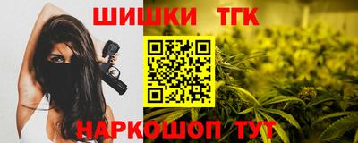 индика Новозыбков