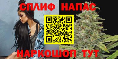 индика Новозыбков