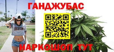 индика Новозыбков