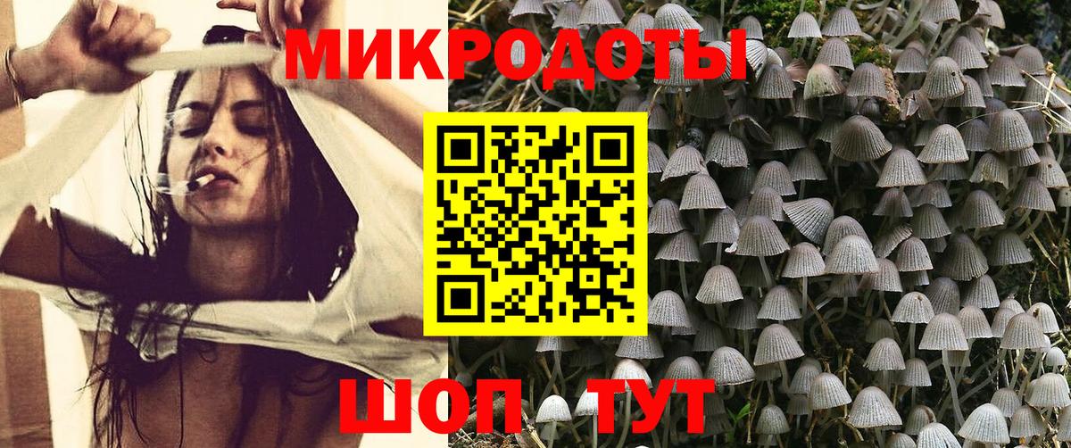 Псилоцибиновые грибы прущие грибы Тобольск