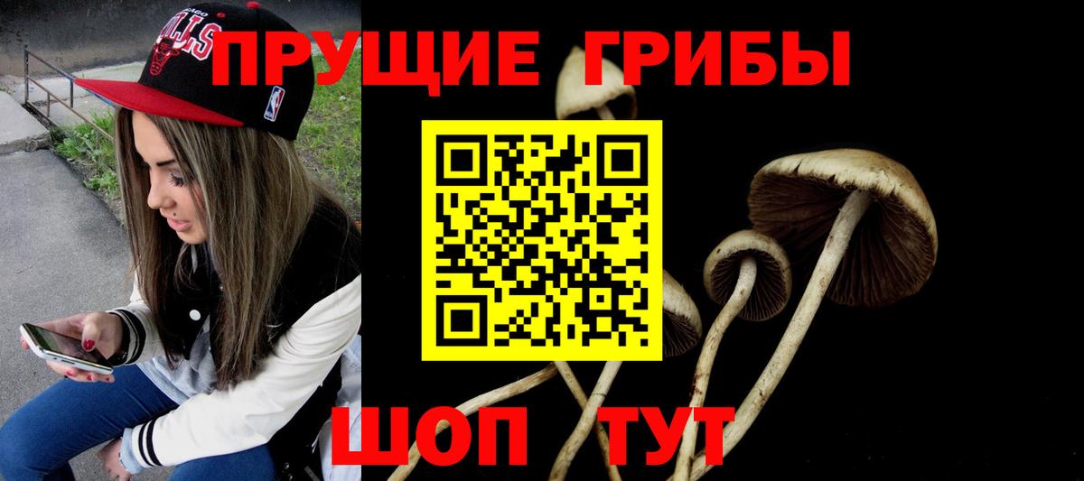 Галлюциногенные грибы мухоморы  Вход с VPN  купить  сайты  Псилоцибиновые грибы Psilocybine cubensis  Тобольск 